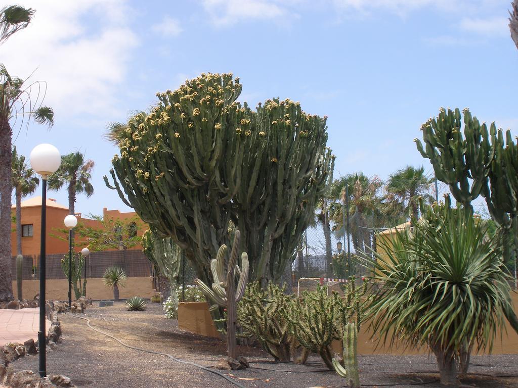 Oasis Duna Corralejo Bagian luar foto